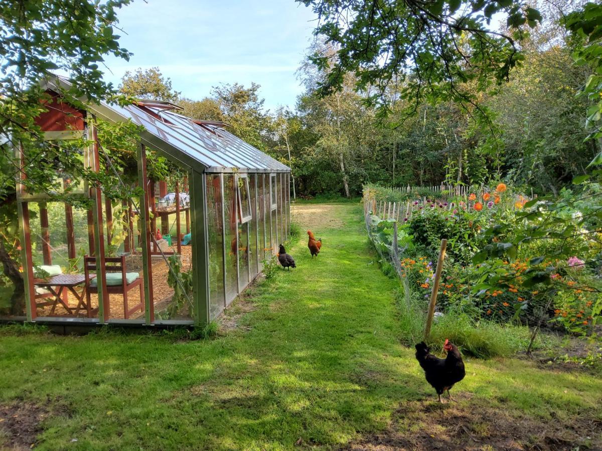 Ringkobing Fjord B&B Skjern 외부 사진